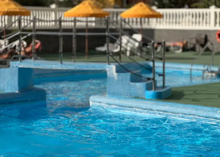 Olympia Palmalicious Lägenhet