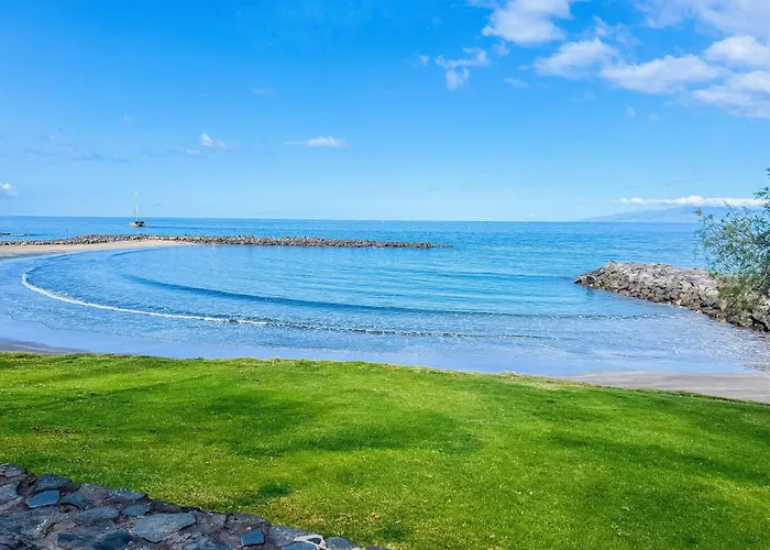 Olympia Palmalicious