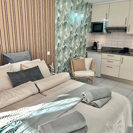 Olympia Palmalicious *