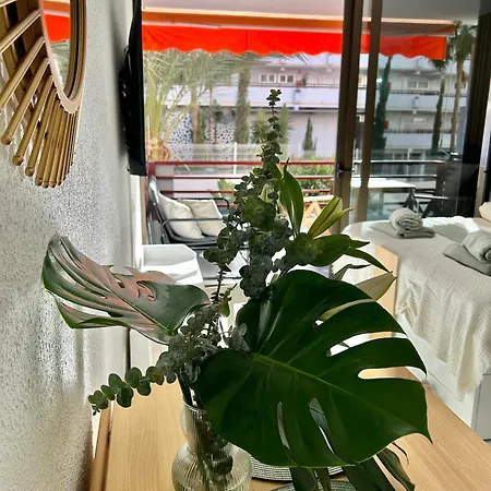 Olympia Palmalicious شقة *