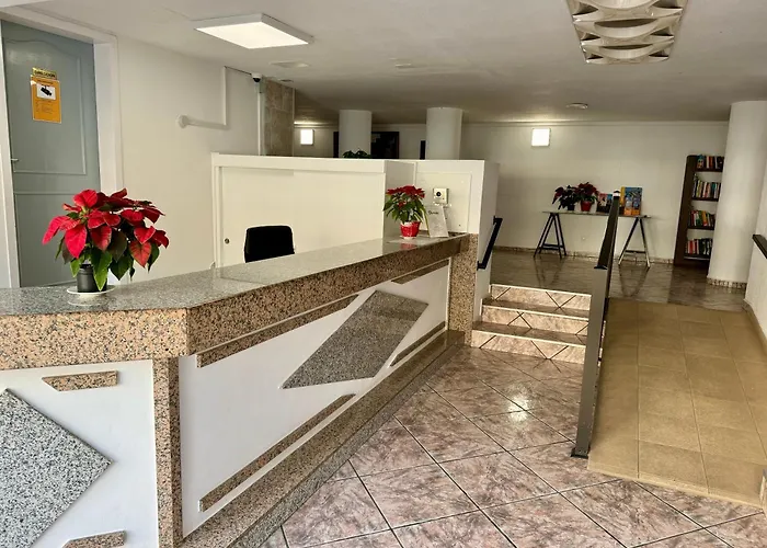 Olympia Palmalicious 美洲海滩