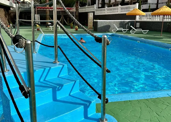 Olympia Palmalicious * 美洲海滩