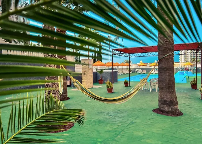 Olympia Palmalicious 公寓 美洲海滩