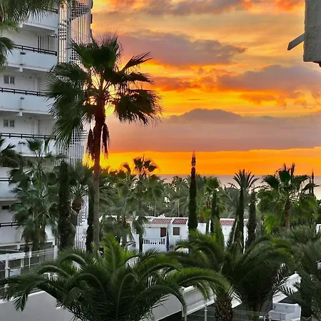 Olympia Palmalicious